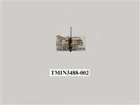 藏品(八重窄腰蜾蠃)的圖片